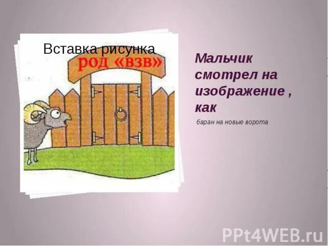 смотреть как баран на новые ворота. фразеологизм баран на новые ворота. как баран на новые ворота.