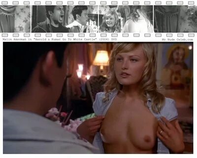 Malin akerman tits