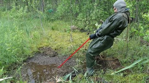 Грянет из всех болот