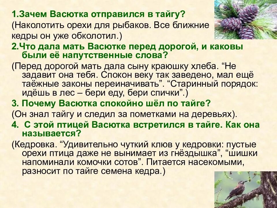 Васюткино озеро Васютка. Зачем Васютка отправился в тайгу. Характеристика Васютки. Сочинение Васюткино озеро. Какие качества помогли васютке выжить в тайге