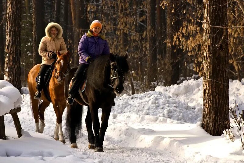 Кск жена. Зимняя прогулка на лошадях. Прогулка на лошадях зимой. Прогулка на лошади в лесу. Конная прогулка в парке.