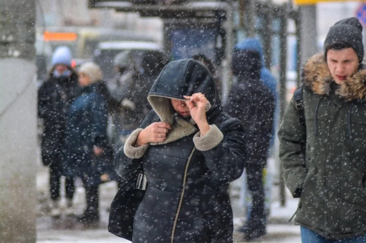 Жители Москвы. Небольшой снег в феврале. Дождь в декабре. Потепление.