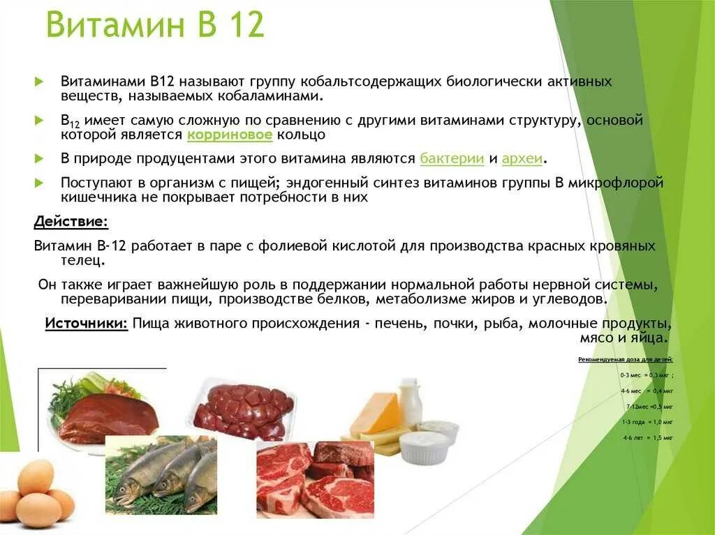 Витамин б12 как принимать. Метаболические функции витамина в12. Витамин б12 фактор Касла. Витамин б12 реакции. Витамин в12 синтезируется в кишечнике.