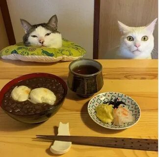 Расставлять кошек