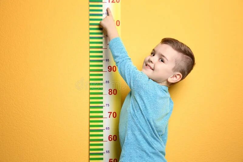 Measuring Height Зображення - огляд 144,385 Стокові фото, векторні зображення й 