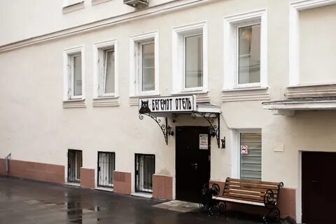Бегемот маяковская