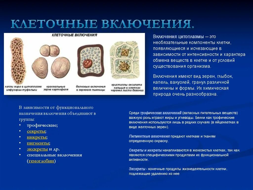 Клеточные включения строение и функции. Включения растительной клетки таблица. Клеточные включения особенности строения. Клеточные включения функции кратко. Включений и т д