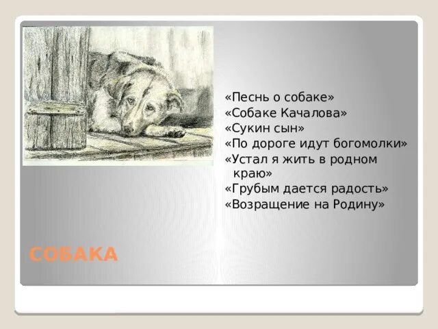 Анализ стихотворения есенина собака. Есенин про собаку. Песнь о собаке. Стихотворение песнь о собаке. Песнь о собаке Есенин.