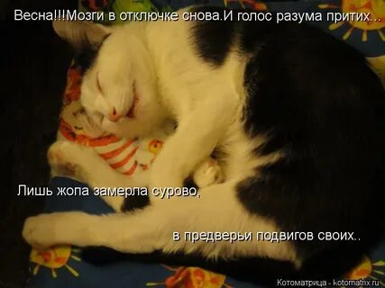 Пока в отключке