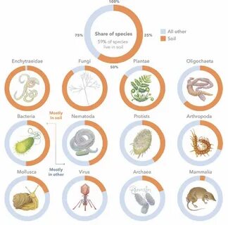 Species of living