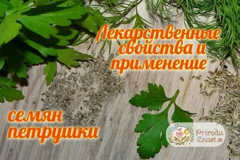 Петрушка вред