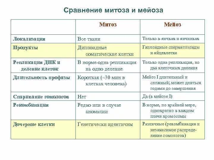 Сравнение мейоза и митоза сходства различия