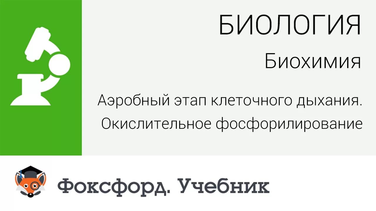 Https foxford ru wiki biologiya. Фоксфорд учебник биология. Биология Фоксфорд биология. Фоксфорд биология ЕГЭ. Нервная система человека Фоксфорд.