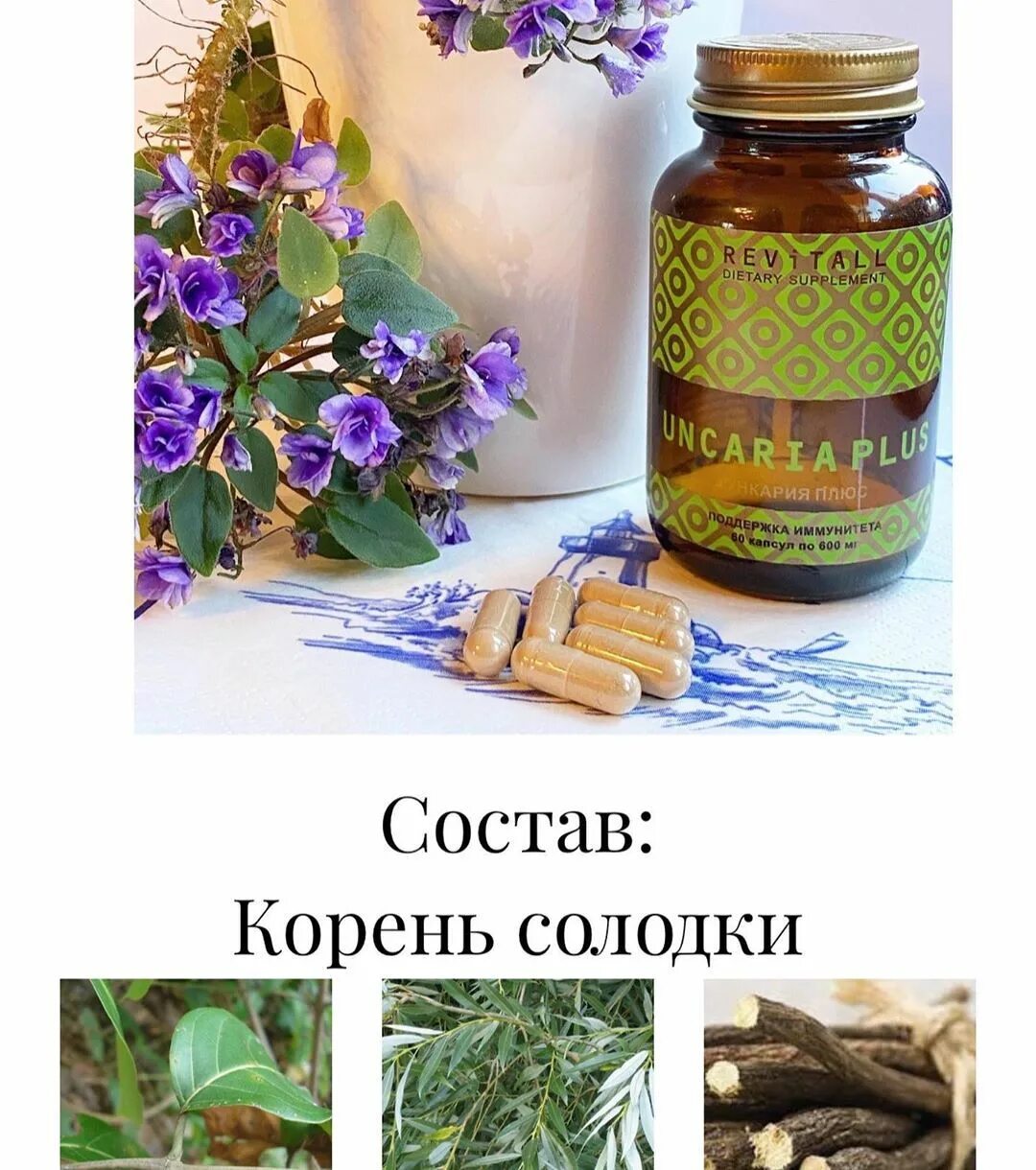 Солодка корень. Гринвей корень солодки. Корень солодки трава для лимфы. Корень солодки формула.