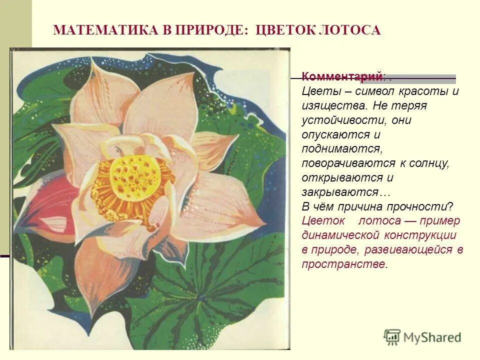 Символика йоги. Логотип цветок. Какой символ красоты. Символ красоты. Цветок символ.