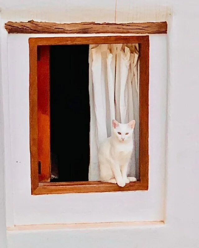 Telegram окно выбора файла. служба поддержки телеграм. окно вид с улицы. телеграмм убрать всплывающие окна. пластиковые окна скетчап.