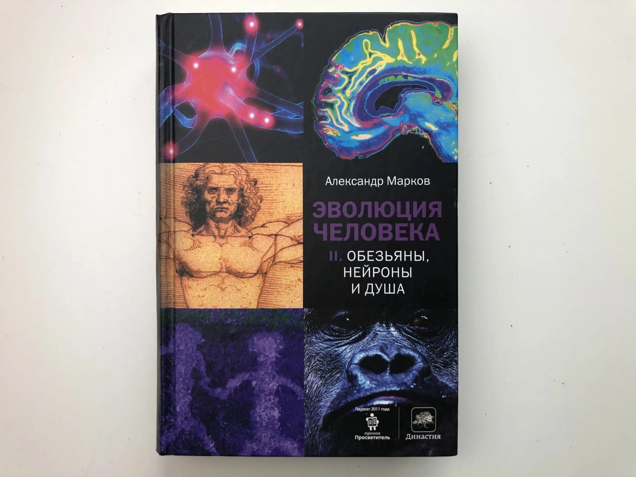 Купить книгу маркова россия в квадрате. Эволюция человека. Книга 2. обезьяны, Нейроны и душа.