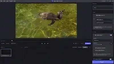 Topaz video 5