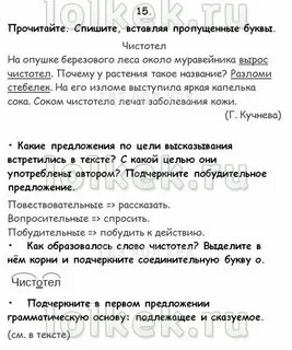 Чистотел на опушке березового леса