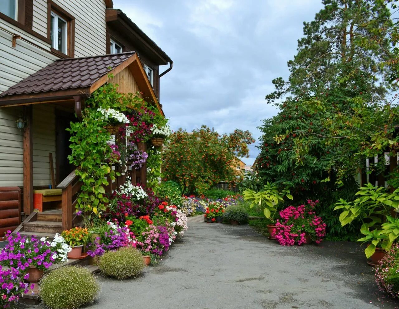 Красивые цветы на дачу фото. Красивая дача. Красивые дачные Дворики. Красивый домик с садом. Красивый деревенский дворик.