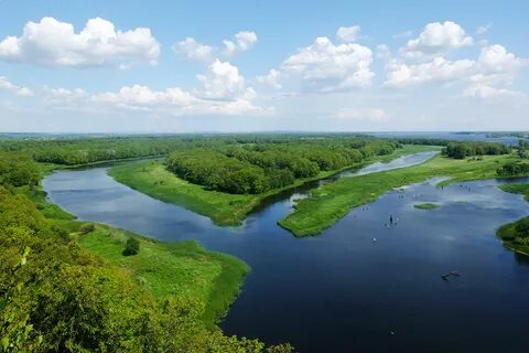 Природный заповедник курской