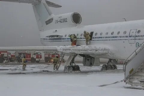 Посадка в волгограде