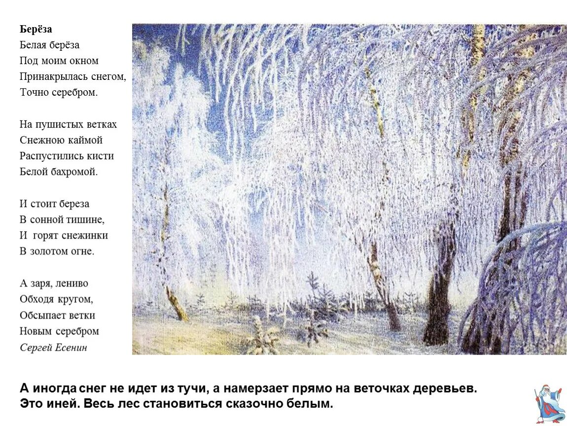 Снежною каймой распустились