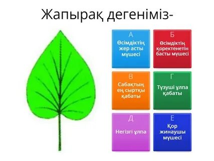 Үлкен жопаның фотолары