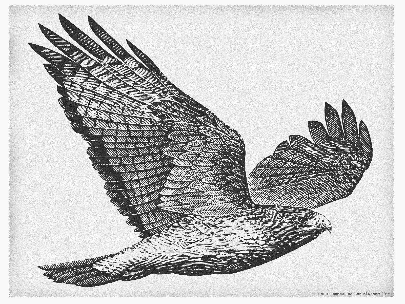 Рарог сокол тату. Графика сокол. Графика сокол. Графика сокол. Птица эскиз.