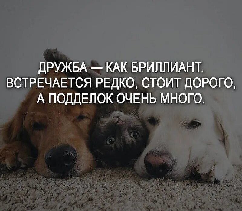 Лучший статус видео