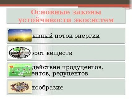 Главные законы устойчивости экосистем 9 класс
