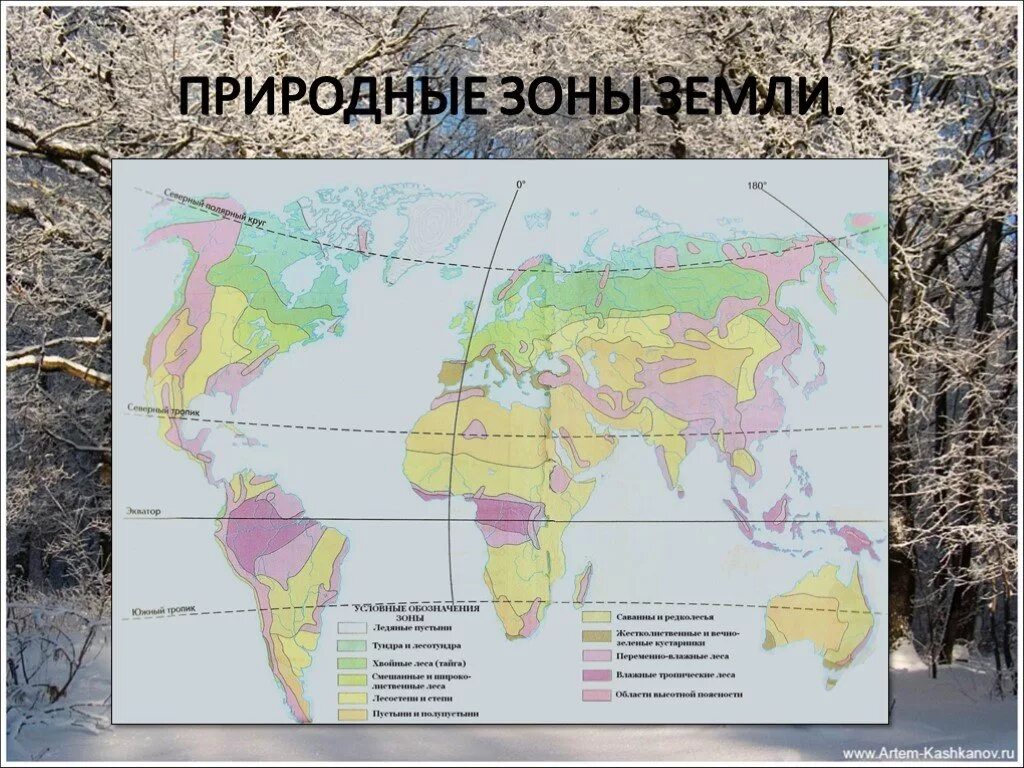 Природная зона территория земли. Природные зоны земли. Природные зоны земли карта. Природные зоны земли карта природных зон.