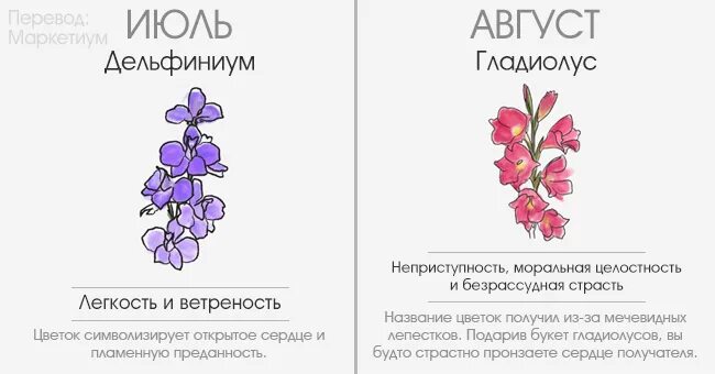 Кто ты по цветочному гороскопу. Цветы по гороскопу по дате рождения. Цветочный гороскоп по дате. Цветочный гороскоп по месяцу рождения. Цветок по дате рождения.