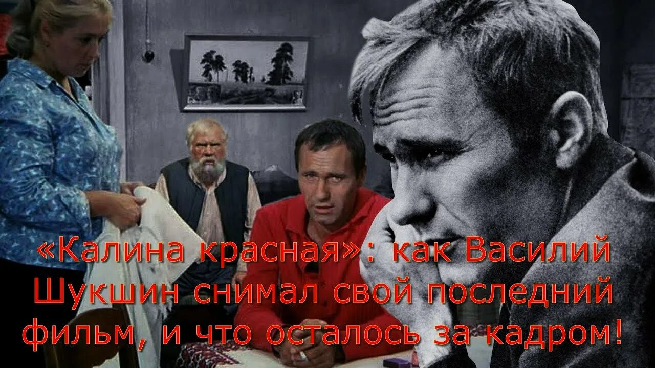 Шукшин в. Калина красная 1973. Калина красная 1973. "калина красная". Калина красная по прежнему такой же.