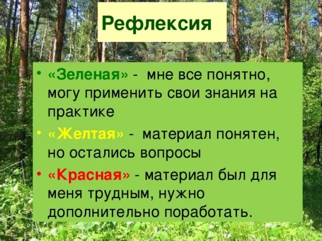 Какое значение хвойных. Значение хвойных в природе. Значение хвойных лесов. Значение хвойных растений. Роль хвойных растений в природе.