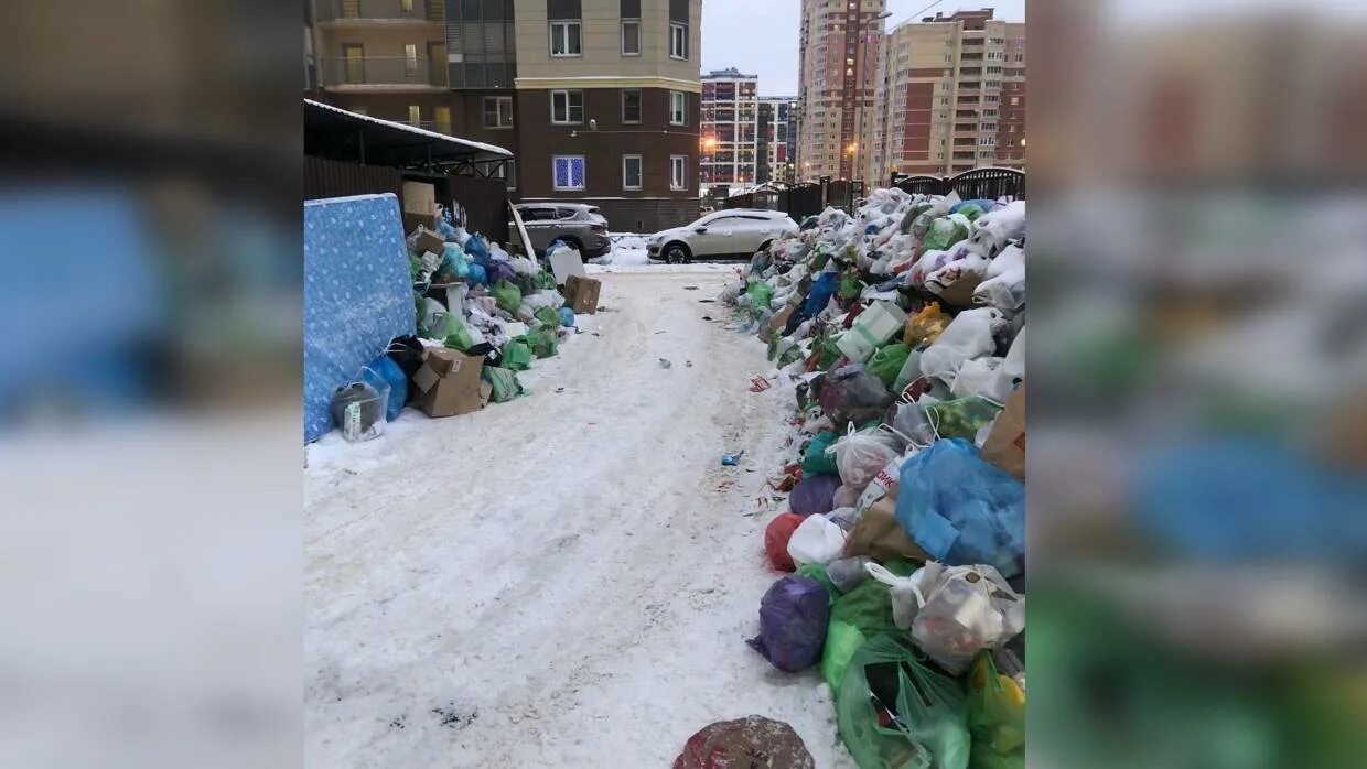 Мусорки Питер на новый год. Свалка в питерском дворе. В районе мусорке