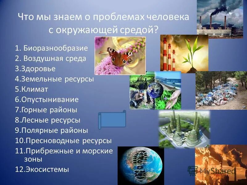 Что составляет окружающая среда ели. Задачи по экологии жилища. Экологический. Биотические экологические факторы примеры. Экологические рисунки для детей.