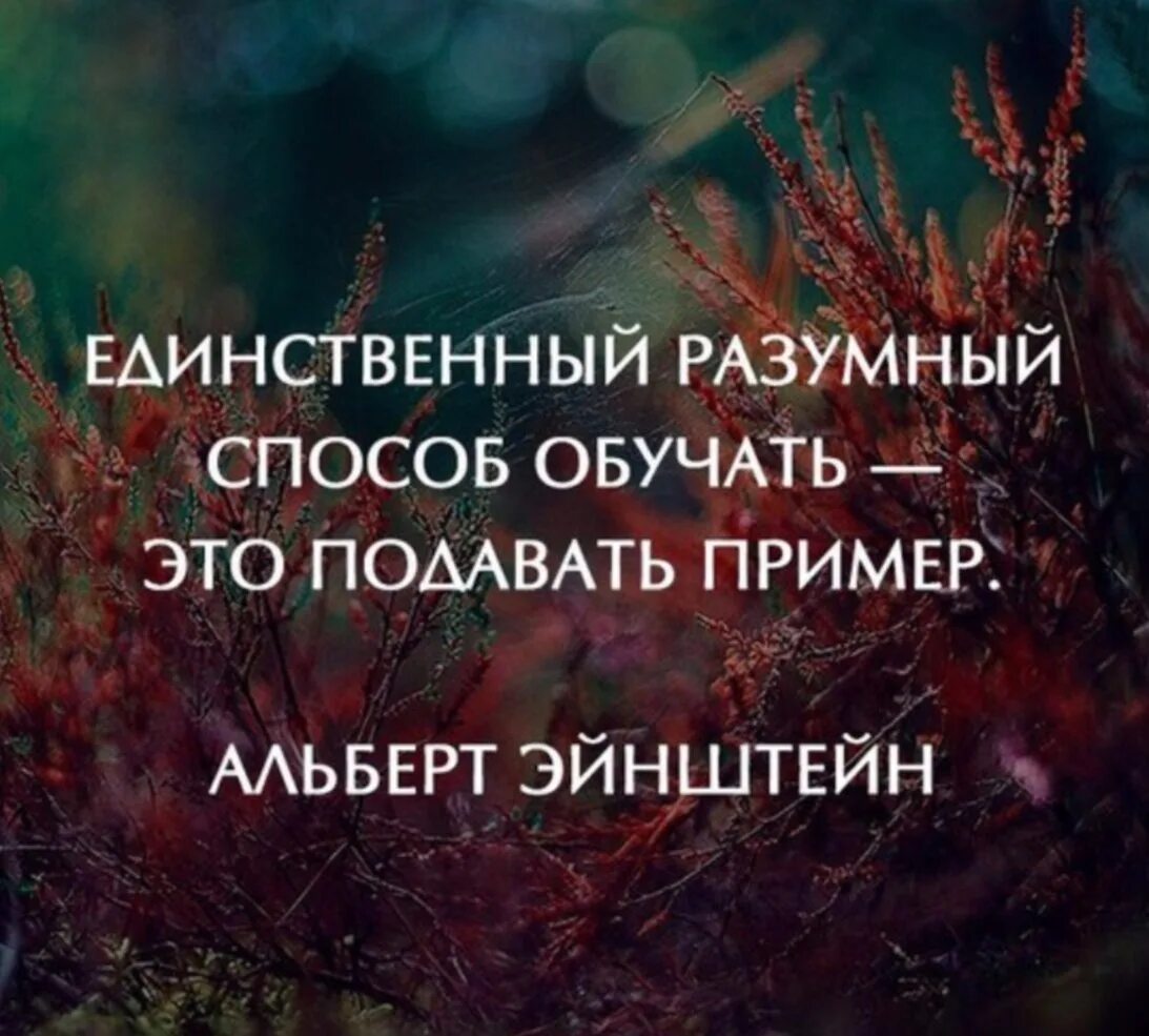 Просто много проблем. Умные высказывания. Мудрые изречения. Цитаты про сложности в жизни. Цитаты про страсть.