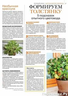Чем подкормить денежное дерево