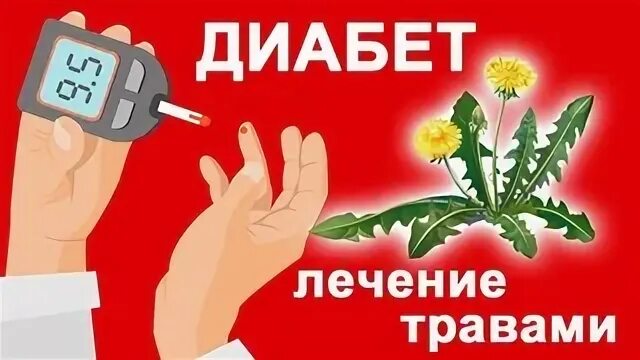 Травы лечат диабет. Диабет народные средства. травы снижающие сахар при диабете. лечение диабета народными средствами.