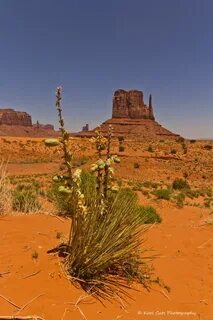Harsh environments