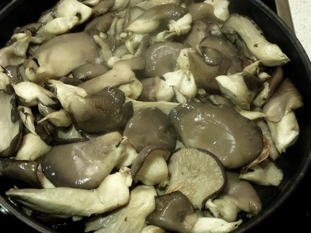 живые ли грибы. что делать с набранными грибами. можно ли оставлять грибы на ночь. промывание и вымачивание грибов. грибник ночью с фонариком.