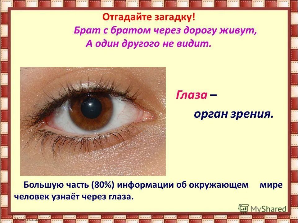 Фразы про глаза. Предложение со словом видимый. Составь предложения из данных слов. Прямое и переносное значение глагола. Эпитеты со словом глаза.