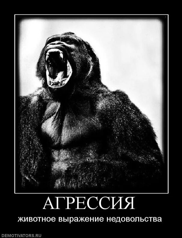 Шутки про агрессию. Фразы про комплексы. Кто мы пассивная агрессия. Пассивная агрессия примеры. Мем про пассивную ашресс.