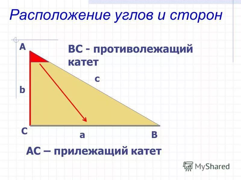 Какой угол прилежащий. Противолежащий катет. Противолежащий и прилежащий катеты в треугольнике. Катет противолежащий углу. Катеты и прилежащие углы.