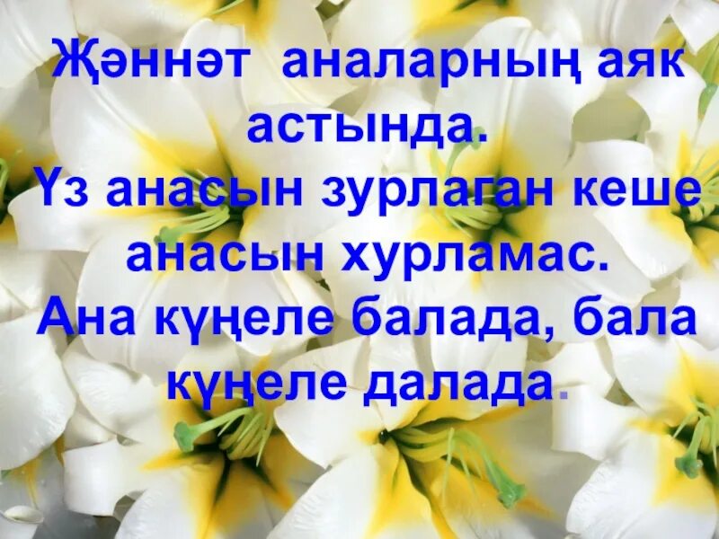 Эни турында шигырьлэр. Энием открытки. Открытки на татарском языке эниемэ. Открытки с днём рождения энием. Туган кон эни открытка.