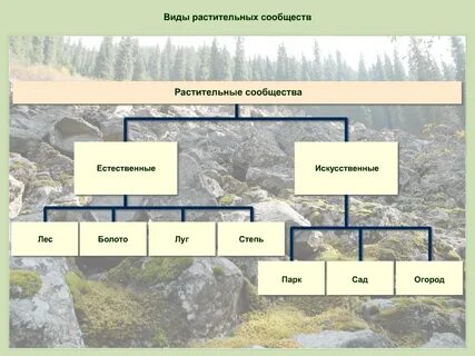 Виды природных сообществ 5 класс