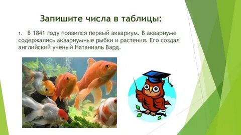 В аквариуме падеж