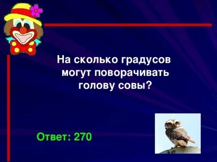 Сова сколько градусов