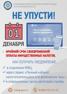 Налоги до 1 декабря
